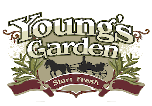 Young S Garden